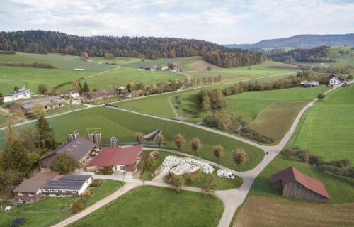 newsImg